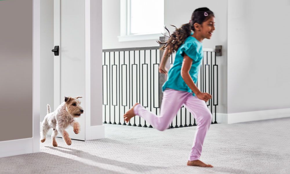 young child and dog running through home with clean carpets