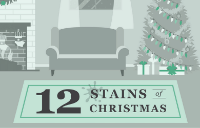 12 Stains of Christmas