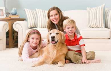 family sitting on carpet after deep carpet cleaning