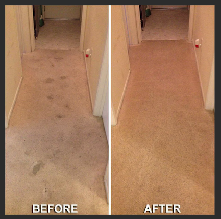 before and after carpet cleaning council bluffs ia