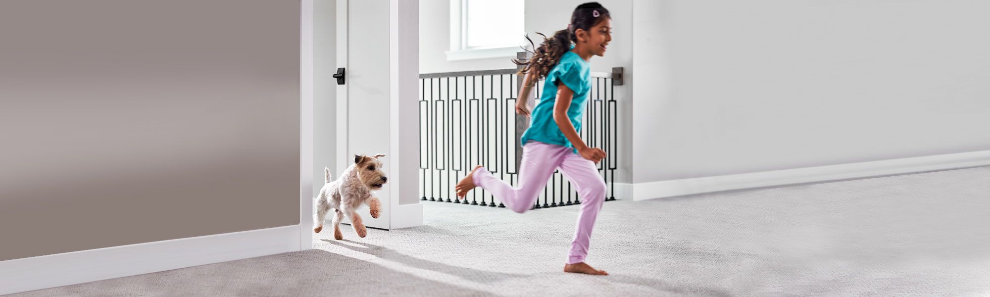 young child and puppy running through home with clean carpets