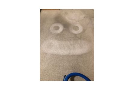 Carpet cleaning with the Natural
