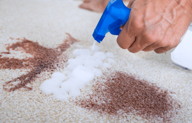 person cleaning stain on carpet