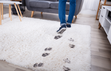 muddy footprints on carpet