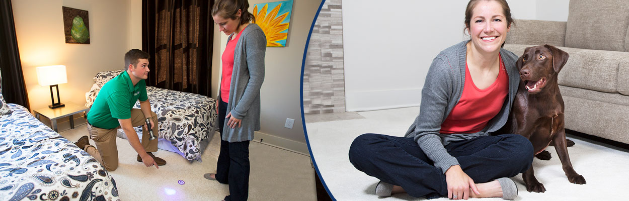 Our Pet Urine Odor Removal Treatment handles the toughest pet accidents