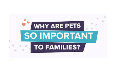 Why Pets Are So Important To Families