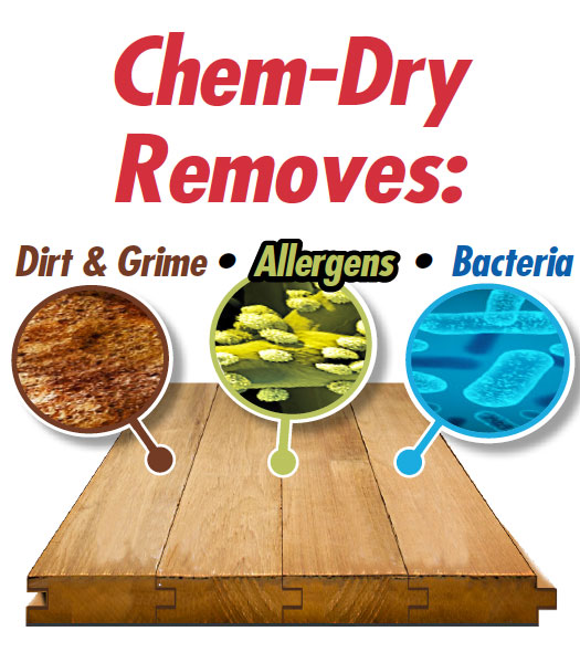 Chem-Dry Wood Floor Cleaning removes dirt and grime, allergens and bacteria from your wood floors