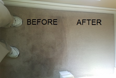 Carpet cleaning before & after image
