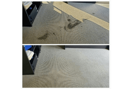 Before and After Chem-Dry of Long Beach Stain Removal
