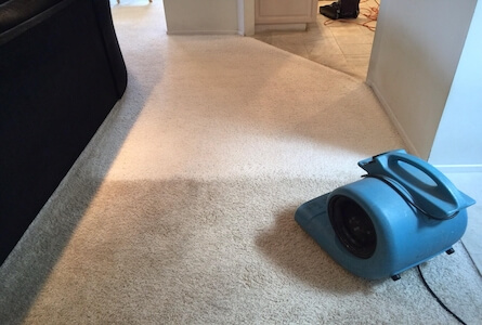 Carpet Cleaning Before & After