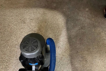 Carpet