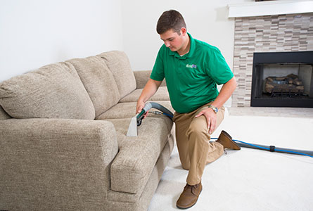 Upholstery Cleaners in Charlotte