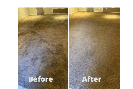 Carpet Before&After Amazing Care Chem-Dry