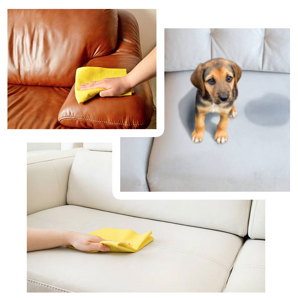 Leather Cleaning & Restoration by Chem-Dry