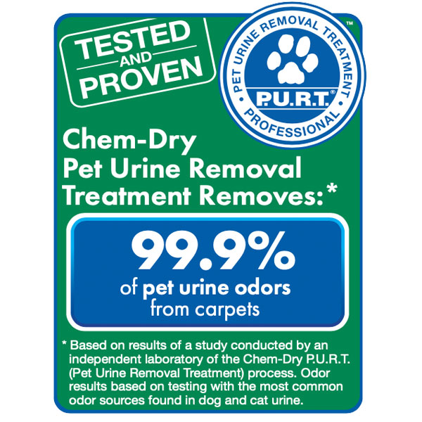 Chem-Dry removes 99.9% of pet urine odors from carpets