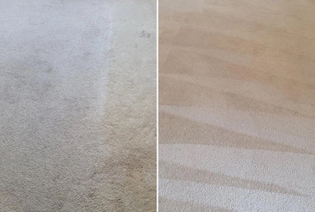 Carpet