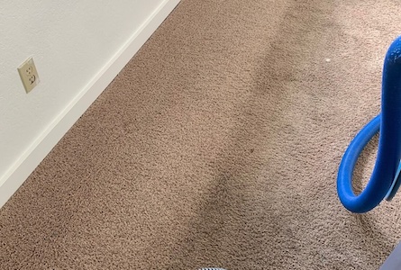 Carpet