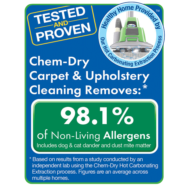 Sustainable allergy relief provided by Chem-Dry