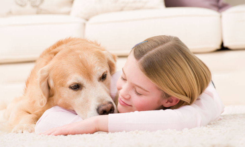 Girl laying beside dog on clean carpet
