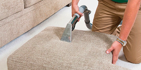 Technician cleans couch cushion