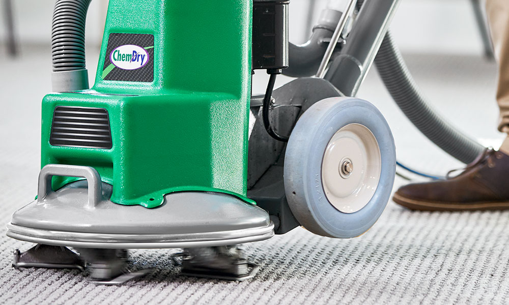 Professional Carpet Cleaning Newcastle