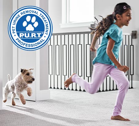 girl and dog running on carpet with Chem-Dry P.U.R.T. logo