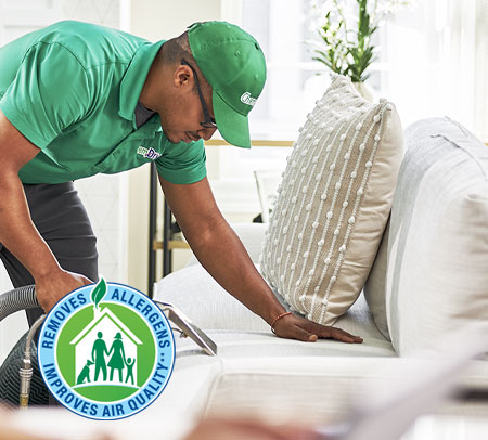 Upholstery Cleaning & Furniture Cleaning