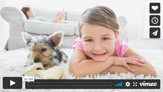 Deep Clean Carpet video