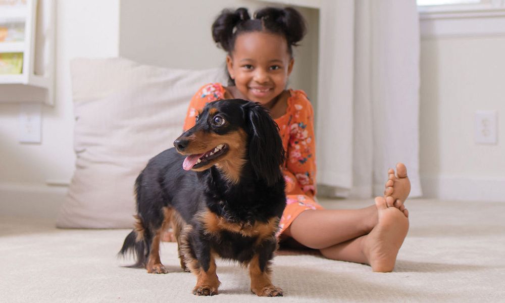 Small girl laying on floor with small black and brown dog