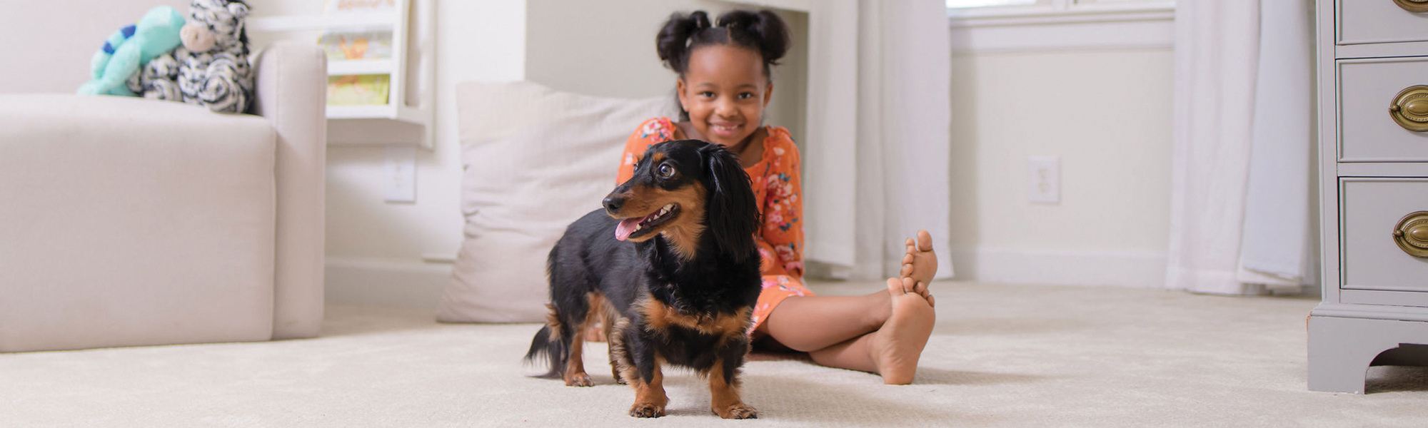 Girl with dog on clean carpet