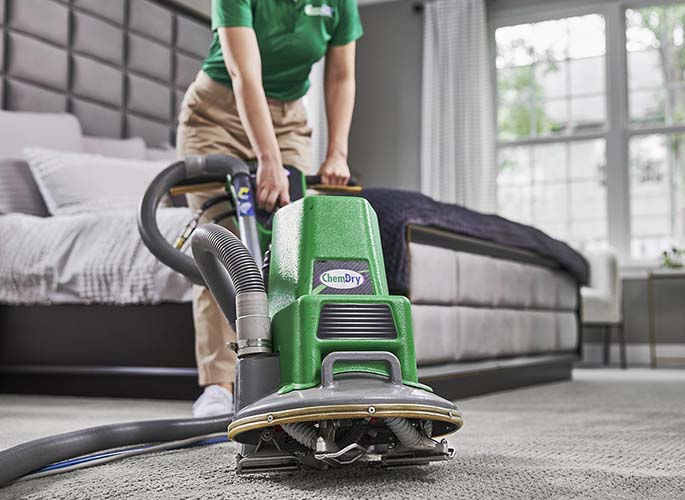 Carpet Cleaning in Tampa FL