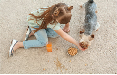 girl and her dog make a dirty carpet