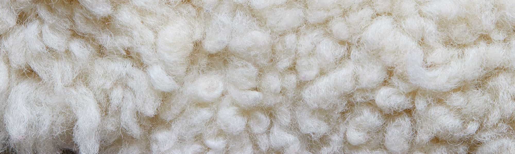 Wool Rug