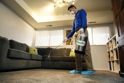 Chem-Dry employee cleans a commercial carpet