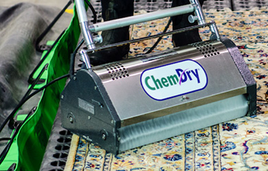 Rug cleaner on carpet