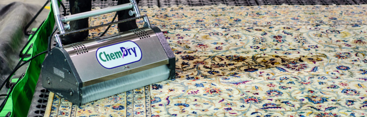 Rug cleaner on carpet