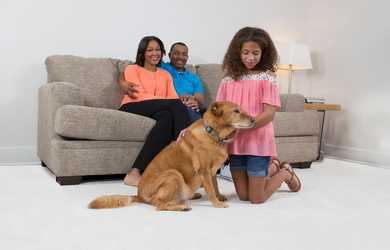 carpet cleaning with pets