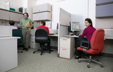 workers in an office