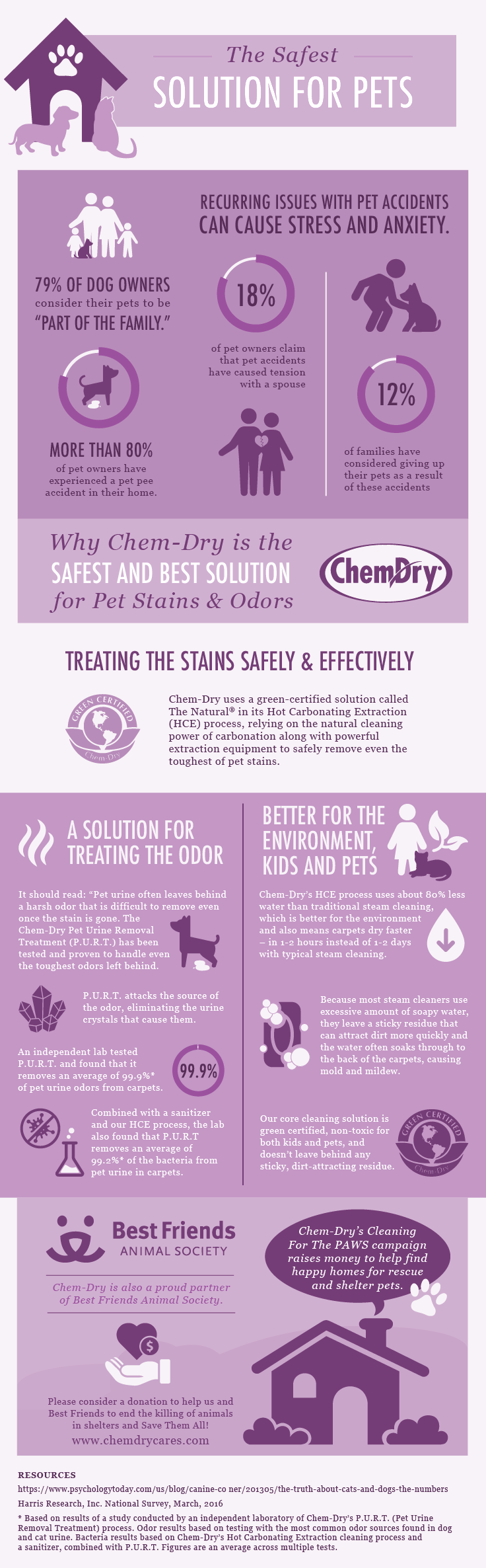 The Safest Solution for Pets ChemDry