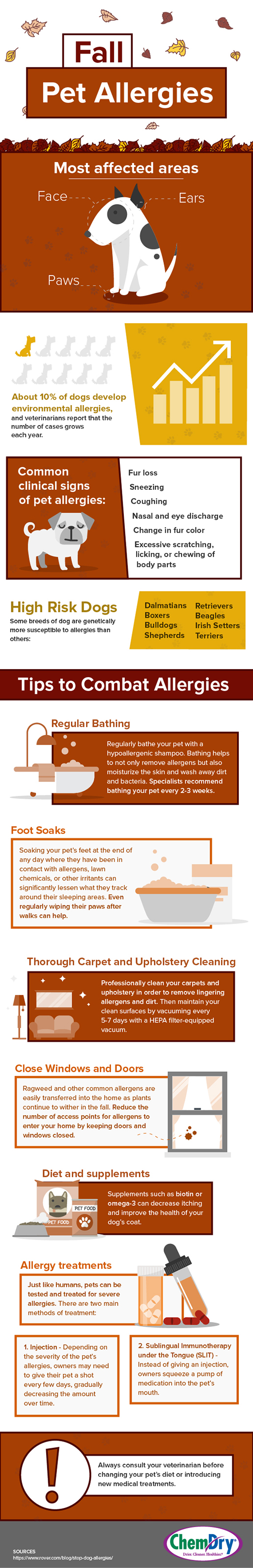 Fall Pet Allergies Infographic ChemDry