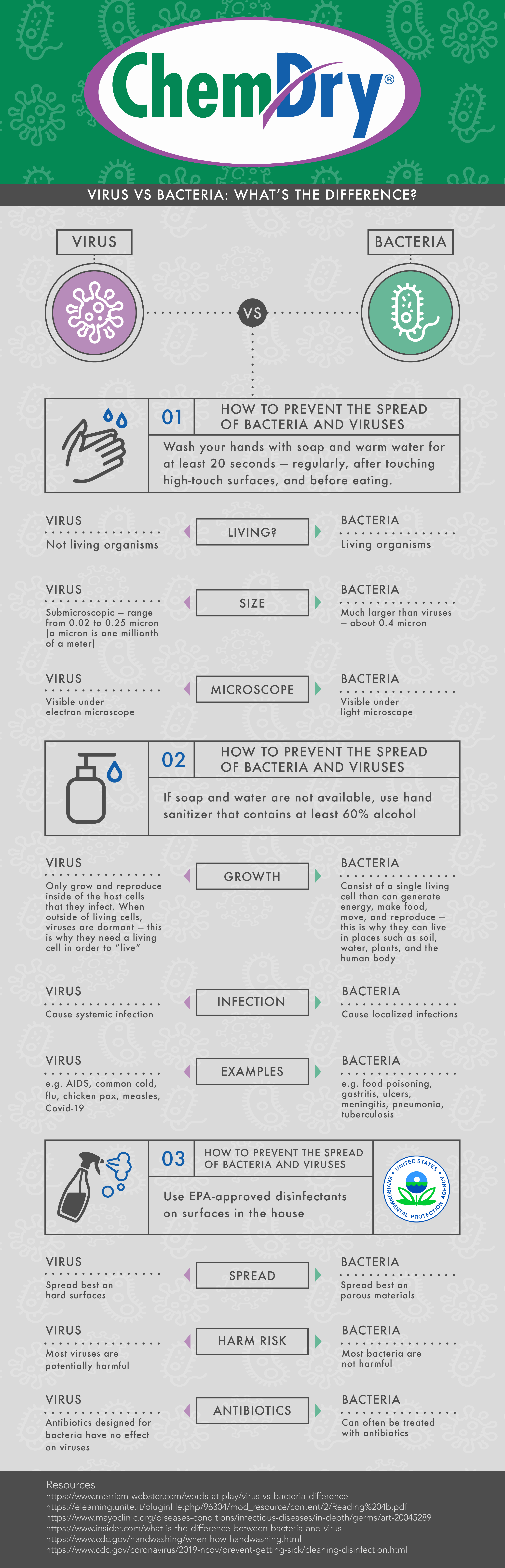What's the Difference Between Viruses and Bacteria Infographic by Chem-Dry