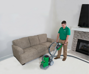 top rated carpet cleaner cleans carpet