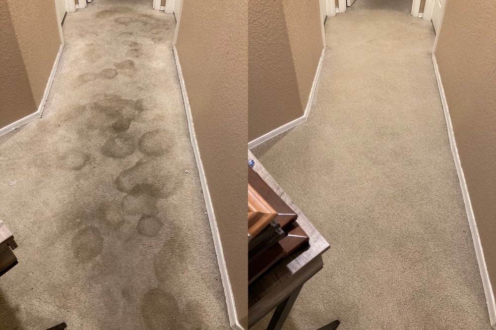 carpet cleaning