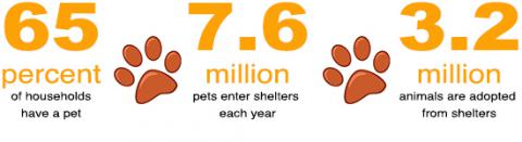 Best Friends helps find homes for thousands of shelter pets each year in addition to funding spay & neuter programs across the country.