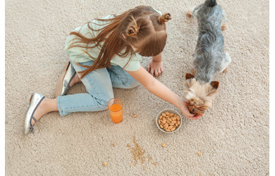 girl and her dog make a dirty carpet