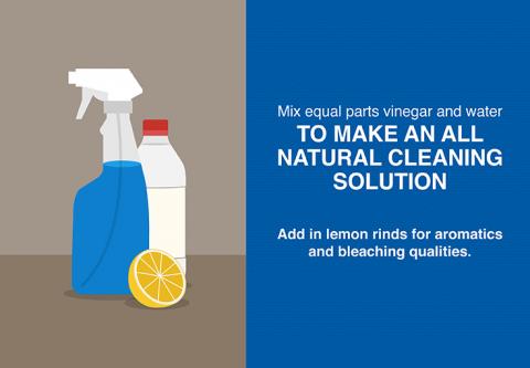 Two cleaning solution bottles next to a blue square that reads "Mix equal parts vinegar and water to make an all natural cleaning solution. Add in lemon rinds for aromatics and bleaching qualities."