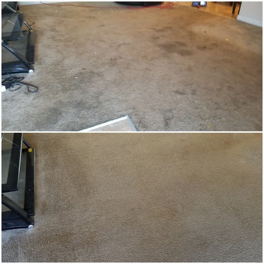 before and after carpet cleaning orange county ca