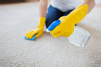 strain removal from our carpet cleaning company